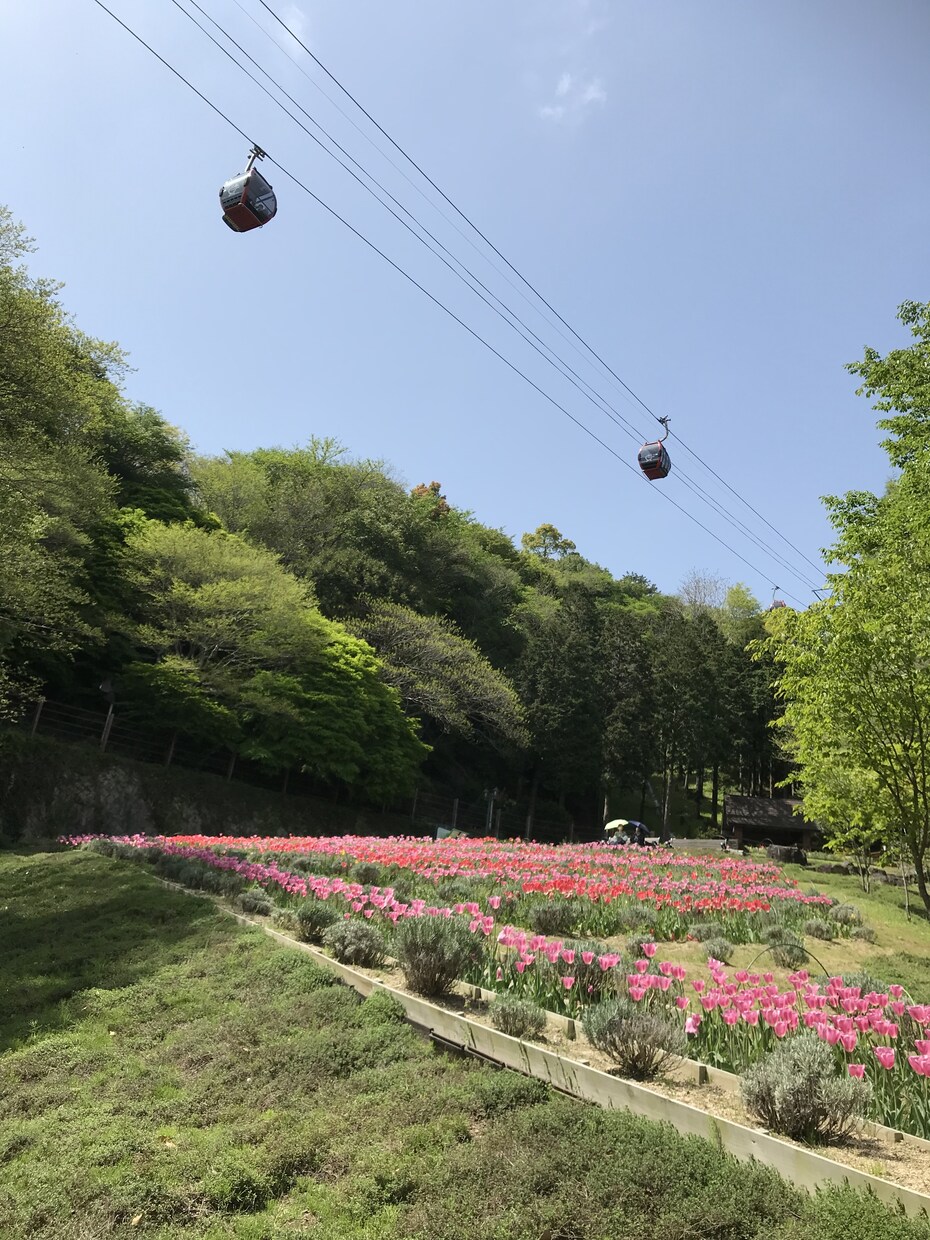 どんな些細なことでも真剣に話を聞きます 死ぬこと以外はかすり傷‼️笑う門には福来る‼️心構え改革 イメージ7