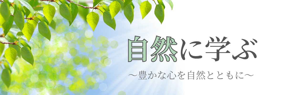 Canvaを使ってXのヘッダー作ります あなたのイメージにぴったりなヘッダーを格安で！ イメージ6
