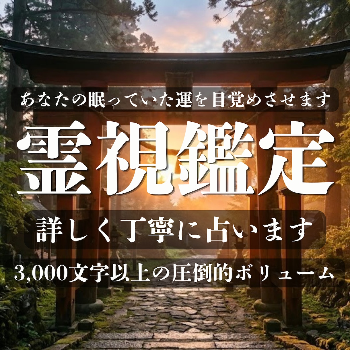 霊視鑑定で貴方様の未来が明るくなるよう占います この鑑定では貴方様の魂の揺れを整えて、現実を変化させます イメージ1