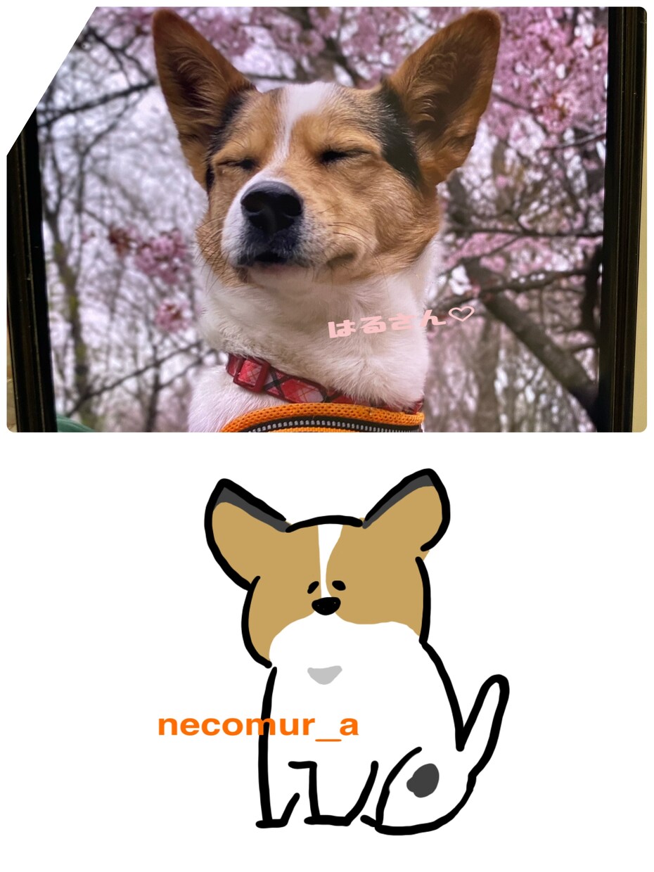 ペットのイラスト、飼い主さんのイラスト、描きます 犬猫以外も○！アイコンや、個人でのグッツ作成などに！ イメージ9