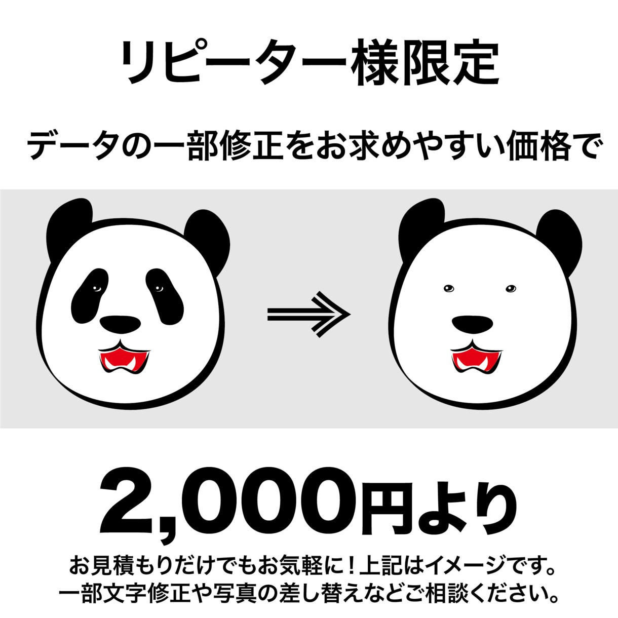 リピータ様へ、データの一部修正を承ります 写真の差し替えやテキストの変更など！ イメージ1