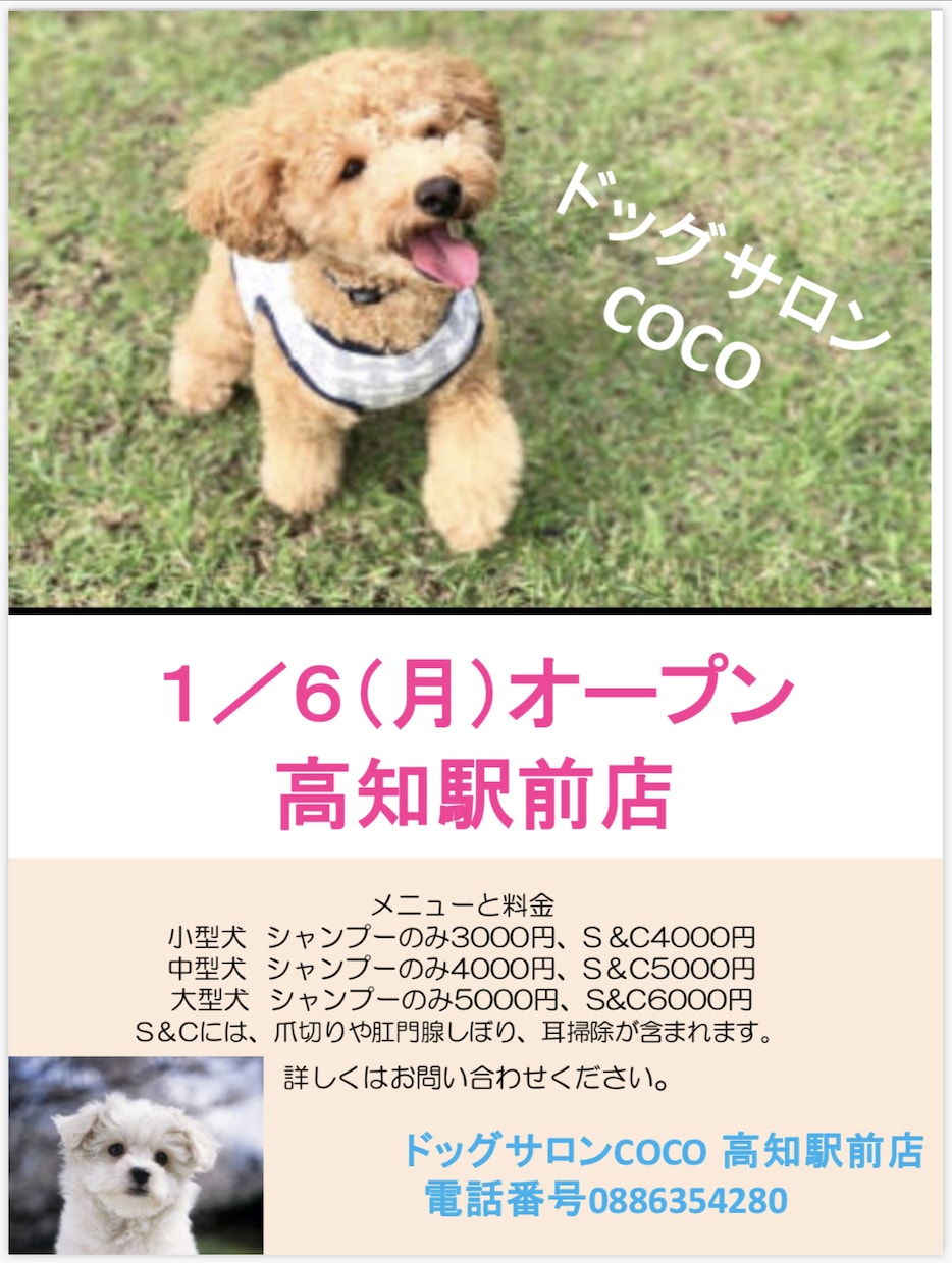 簡単なチラシをささっと作ります ^_^お急ぎの方に最適！あなたのお役に立ちます。 イメージ4