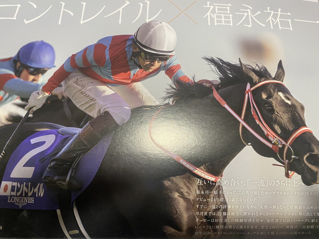競馬予想・開催別買える馬教えます 厩舎・馬場・産駒・前走着順などから好走する馬を探します イメージ2