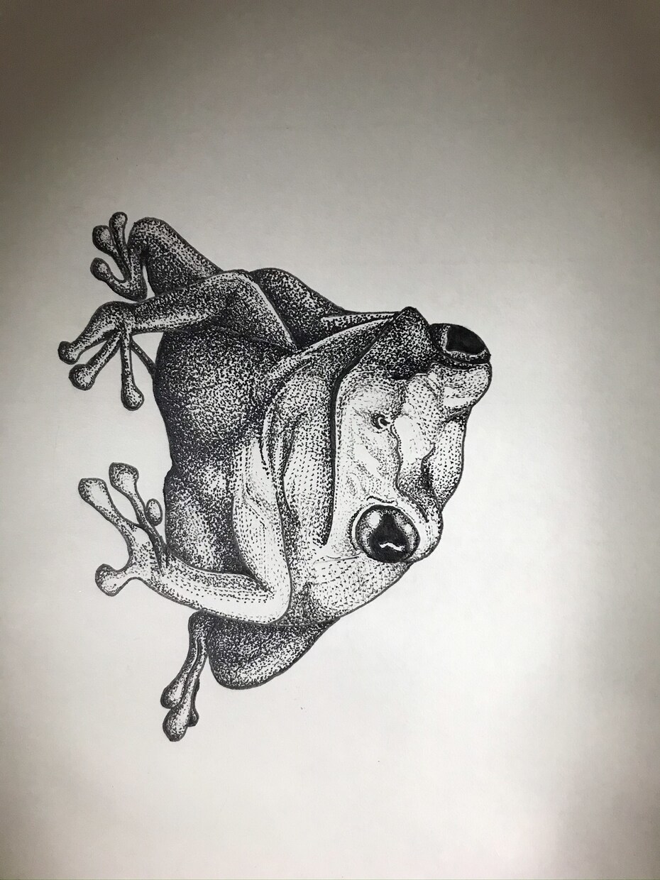 お好みの絵何でも描きます 依頼されたものなら全て描きます イメージ5