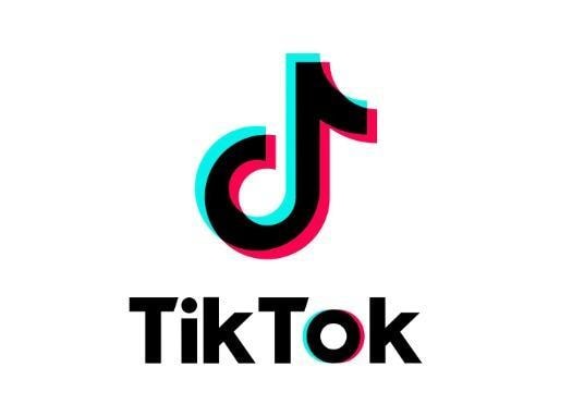 TikTokの運用の仕方、教えます ジャンルの設定、実際の運用方法など イメージ1