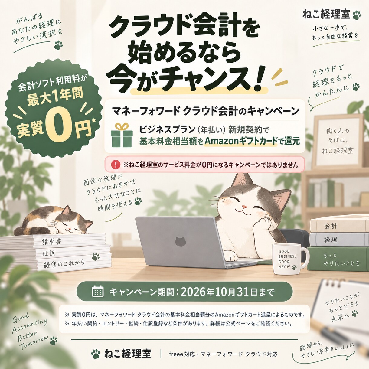 freee・MF導入と3か月記帳を支援します 会計実務12年の経験で、導入から運用まで伴走します イメージ5