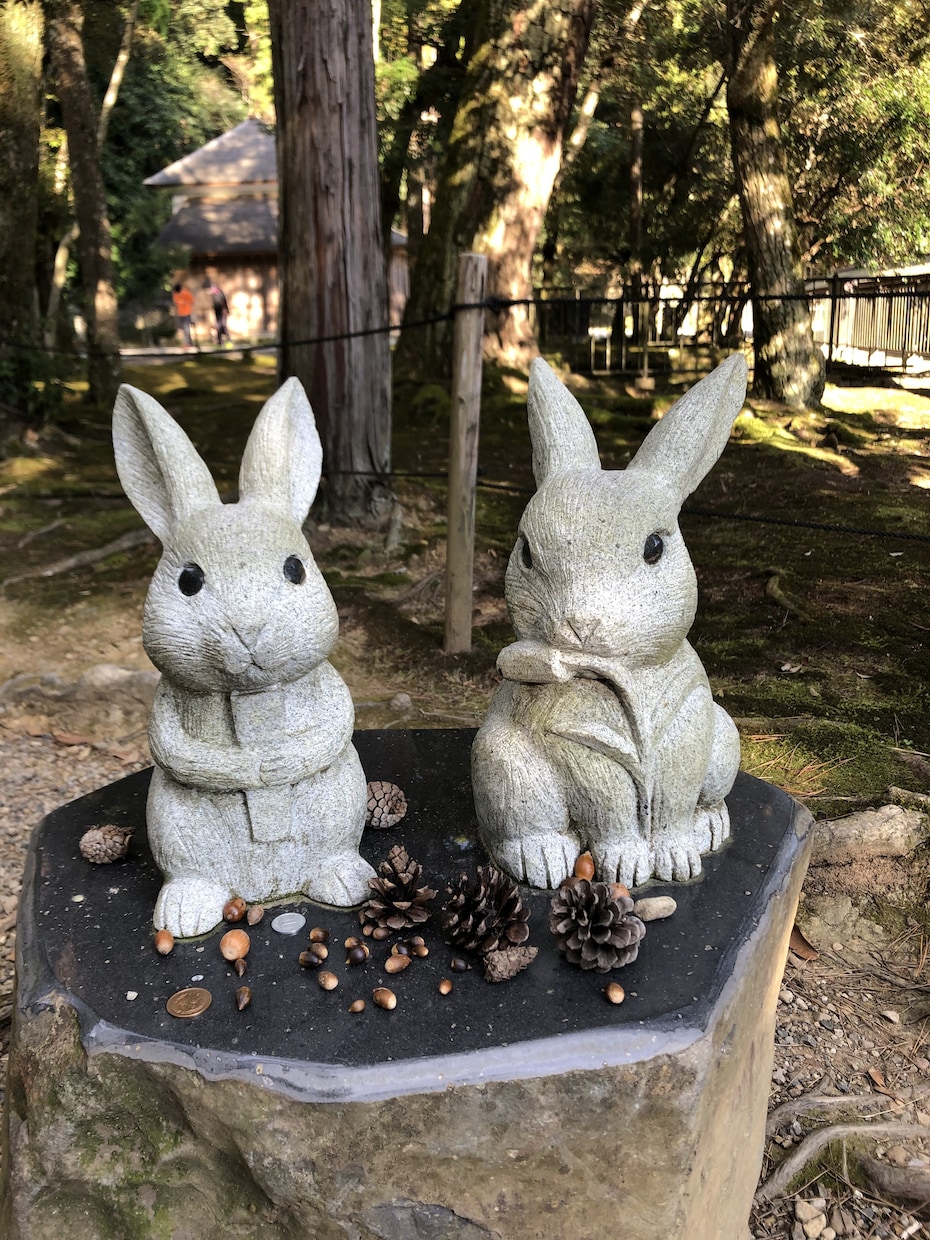 愛しいペットさんの気持ちをあなたにお届けします あなたの大事なペットは何を考えてるのか知りたくありませんか？ イメージ2