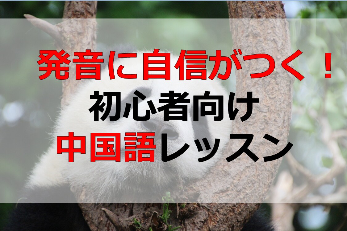 発音に自信がつく!初心者向けの中国語レッスンします 中国語暦20年&中国在住10年のプロ講師がコツを伝授します。 イメージ1