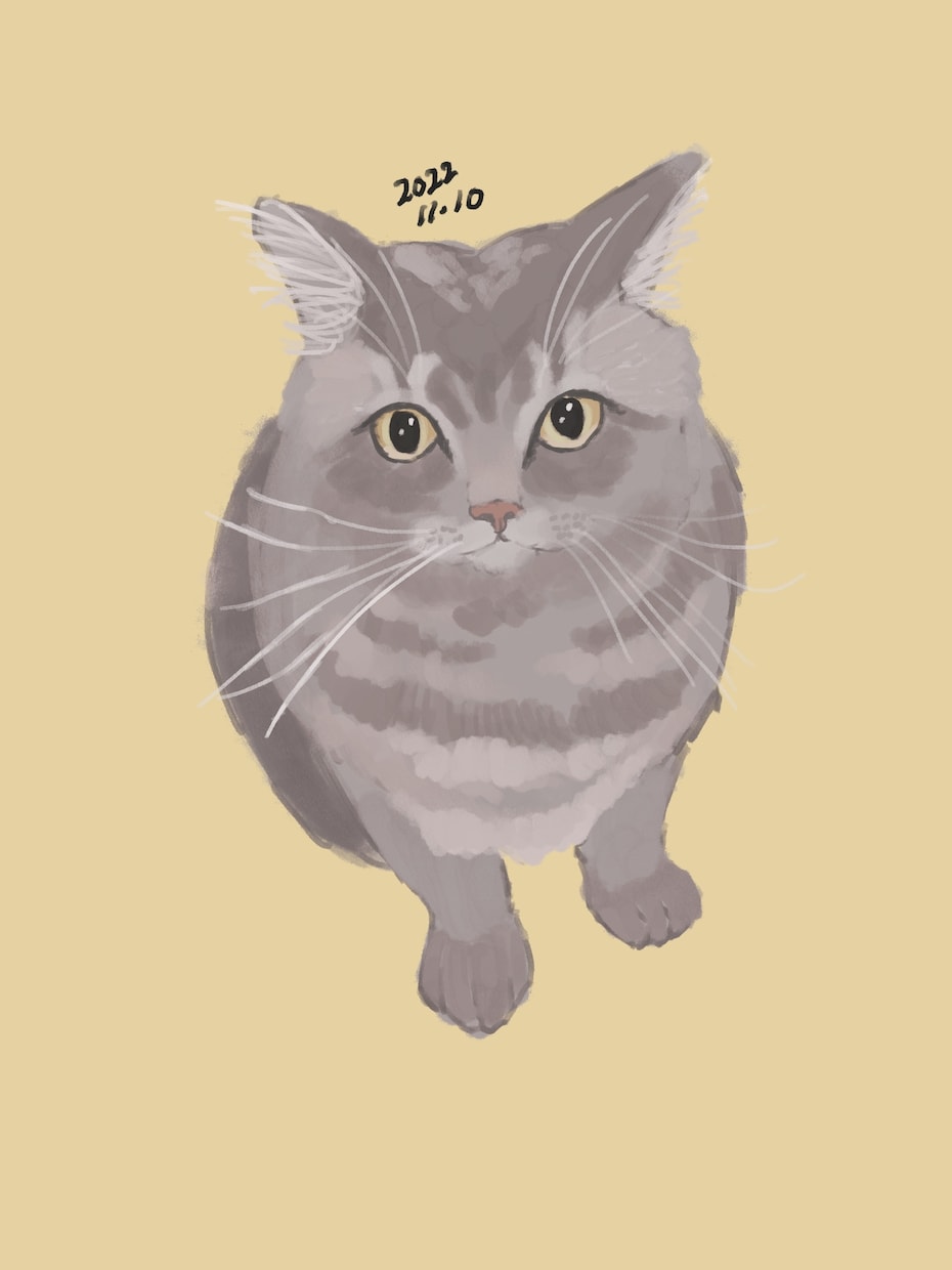 ペット、愛猫愛犬など描きます 厚塗りですが、リアル過ぎない可愛さの入ったタッチで。 イメージ2