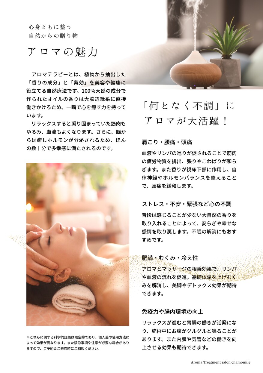 おしゃれなチラシ、リーフレット作成します 個人デザイナーならではの低価格＆高品質なデザイン イメージ2