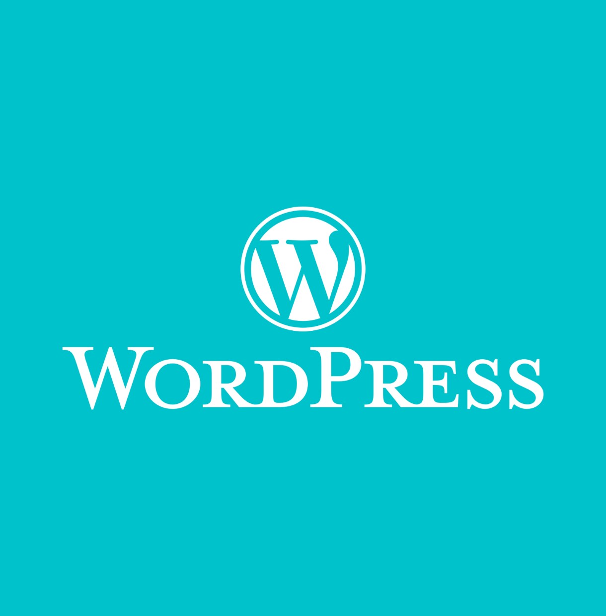WordPress導入をサポートします サーバーの管理画面設定や無料SSL導入をお手伝いします。 イメージ1