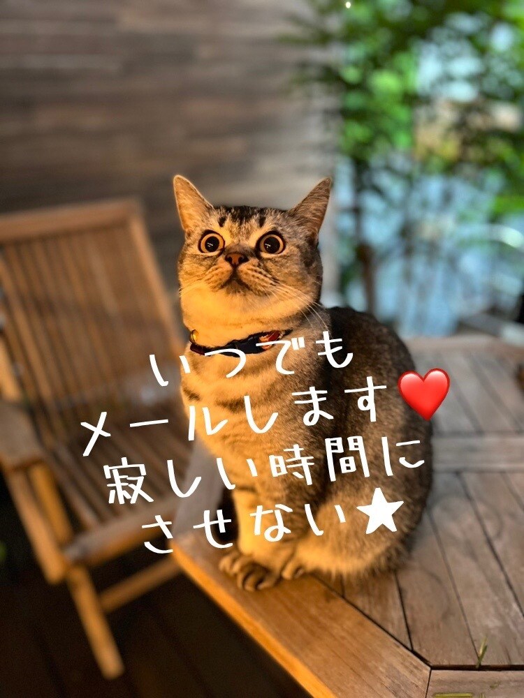 お話しききます イライラはためずに、話せばスッキリ イメージ1