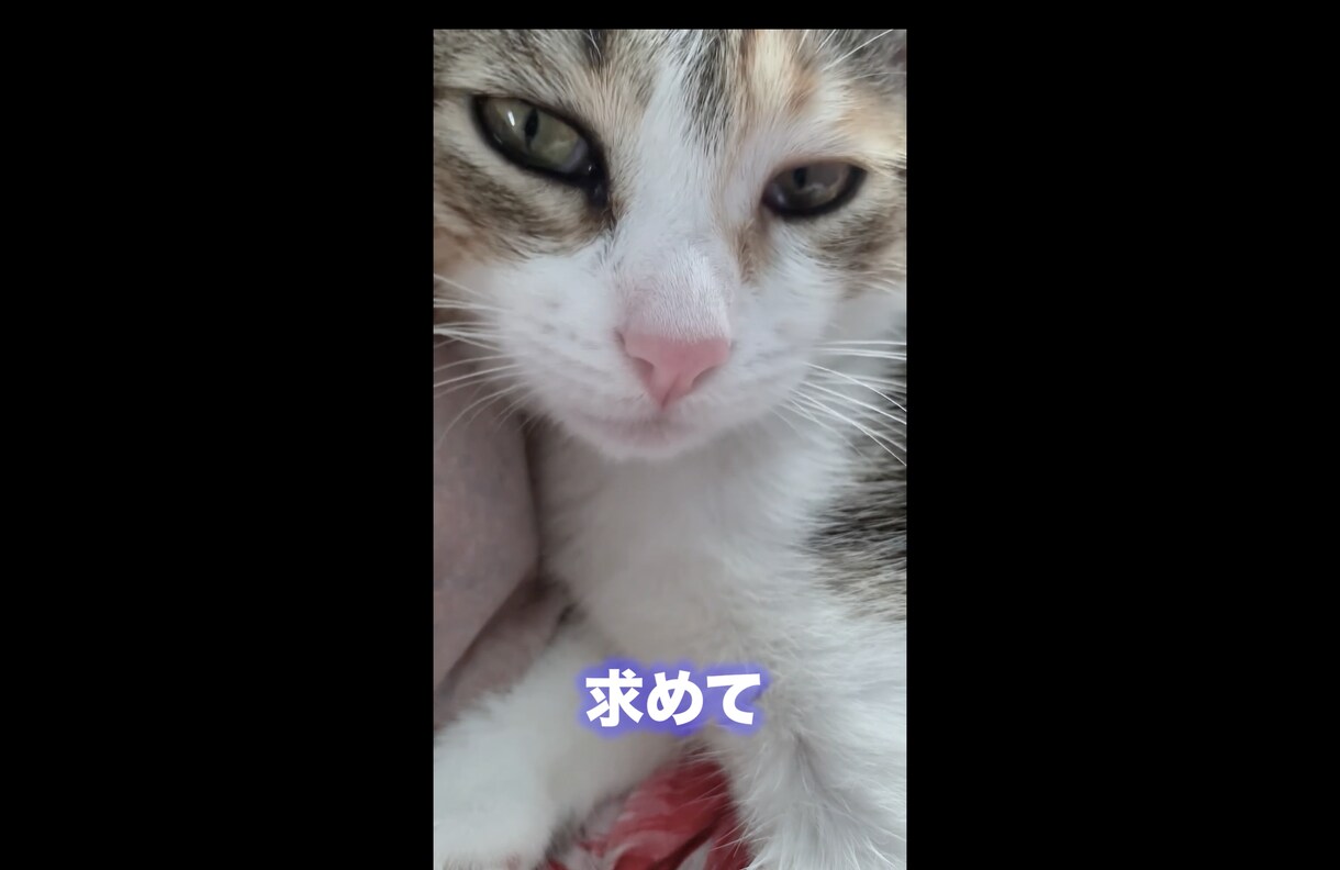 画像加工｜AIとPsで理想の画像を制作します 「こんな画像が欲しい」を、生成AIと丁寧な画像加工で形に。 イメージ3