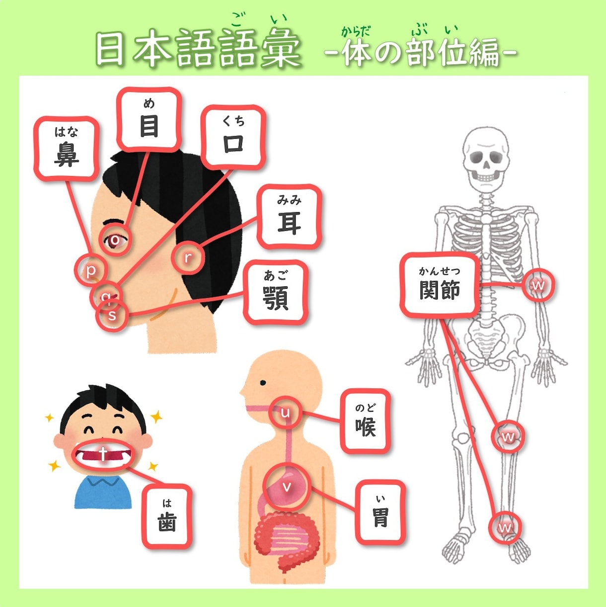 日本語教師の仕事・資格・指導方法　何でも教えます ママでも還暦でも！外国人に日本語を教えよう！教案も見ます！ イメージ1