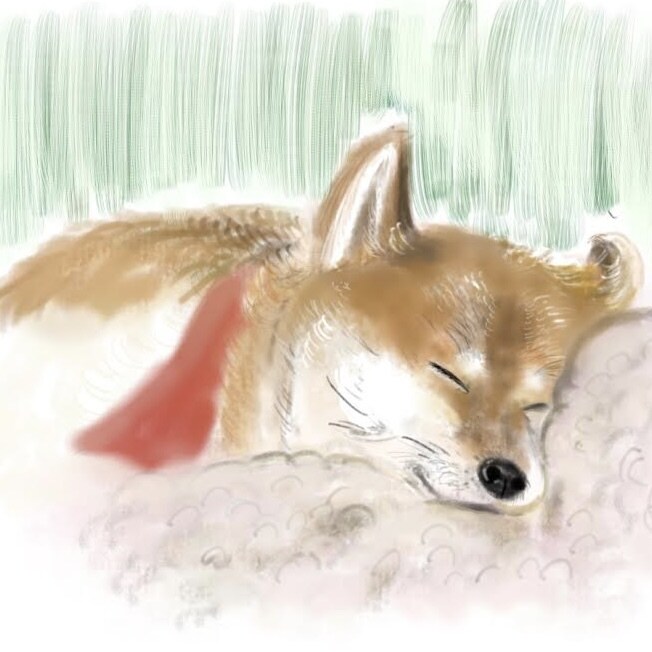 大切なワンちゃんのアートを水彩ペン使って描きます 思い出や性格のカラーを背景に反映させます♡デジタルアート！ イメージ6