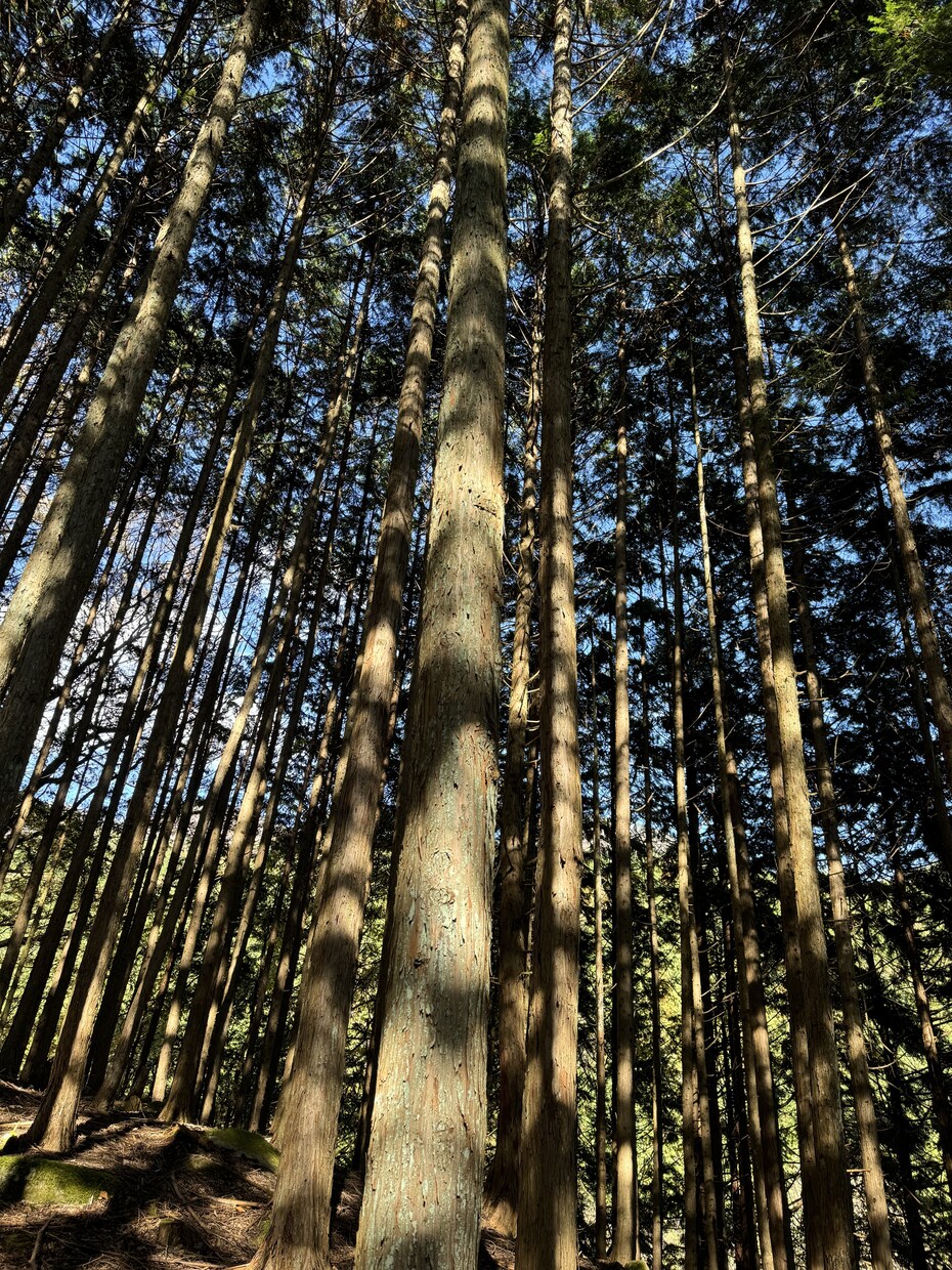 あなたの気持ちをお聞きします 一人で抱え続けるのが辛い気持ちは人に話すと少し楽になります。 イメージ2