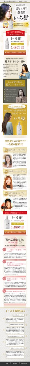 クリック率を高めるLPをデザインいたします 低予算で起業したいあなたの味方です！ イメージ2