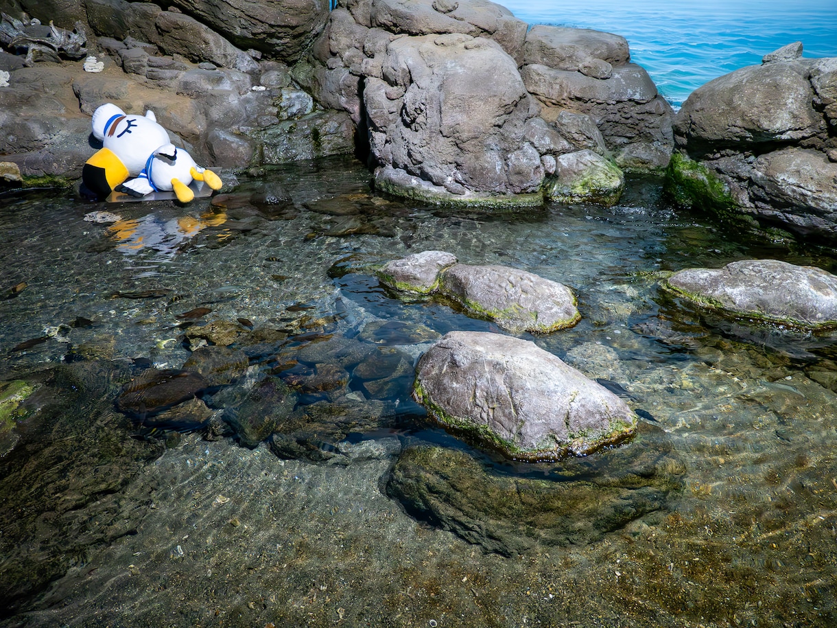 横浜近辺　記念写真など撮影•編集をします ミラーレスカメラで格安写真撮影をします イメージ5