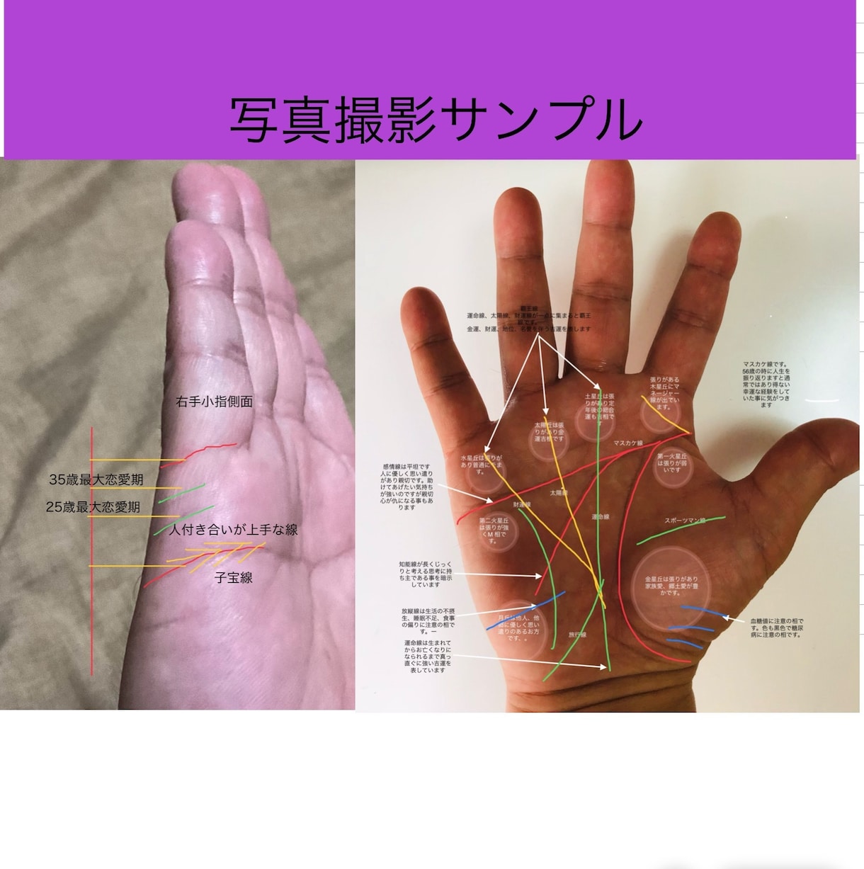 左手専用手相で宿命相を占いますます 先天運生まれ持った不変な宿命ディステニーを占います。 イメージ2