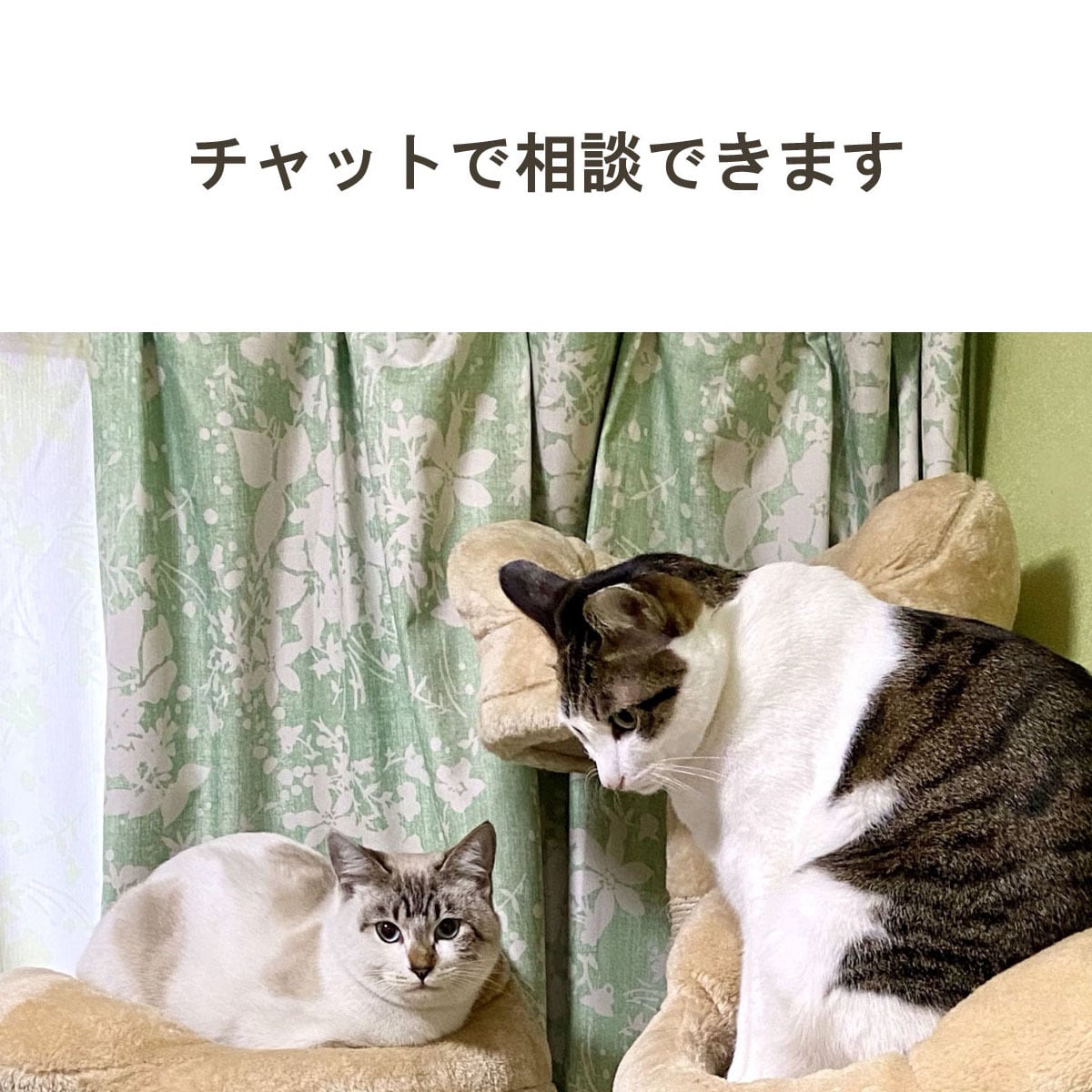 30分〜チャット相談✨人間関係の悩みをお聴きします 否定されたくない　傷つくことに疲れたあなたへ イメージ1