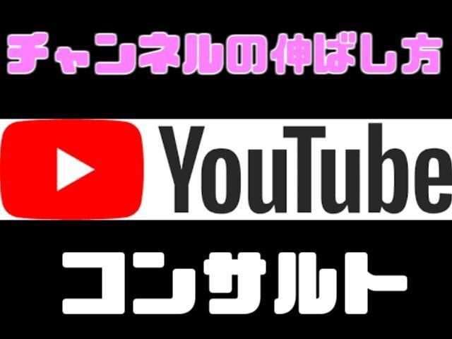 YouTubeの成長方法をコンサルティングします チャンネル登録や動画再生数の増やし方が分からない人におすすめ イメージ1
