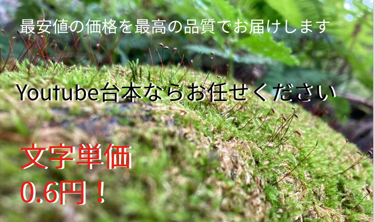 youtube台本最速で作ります 最安値の価格を最高の品質でお届けします。文字単価0.4円！ イメージ1
