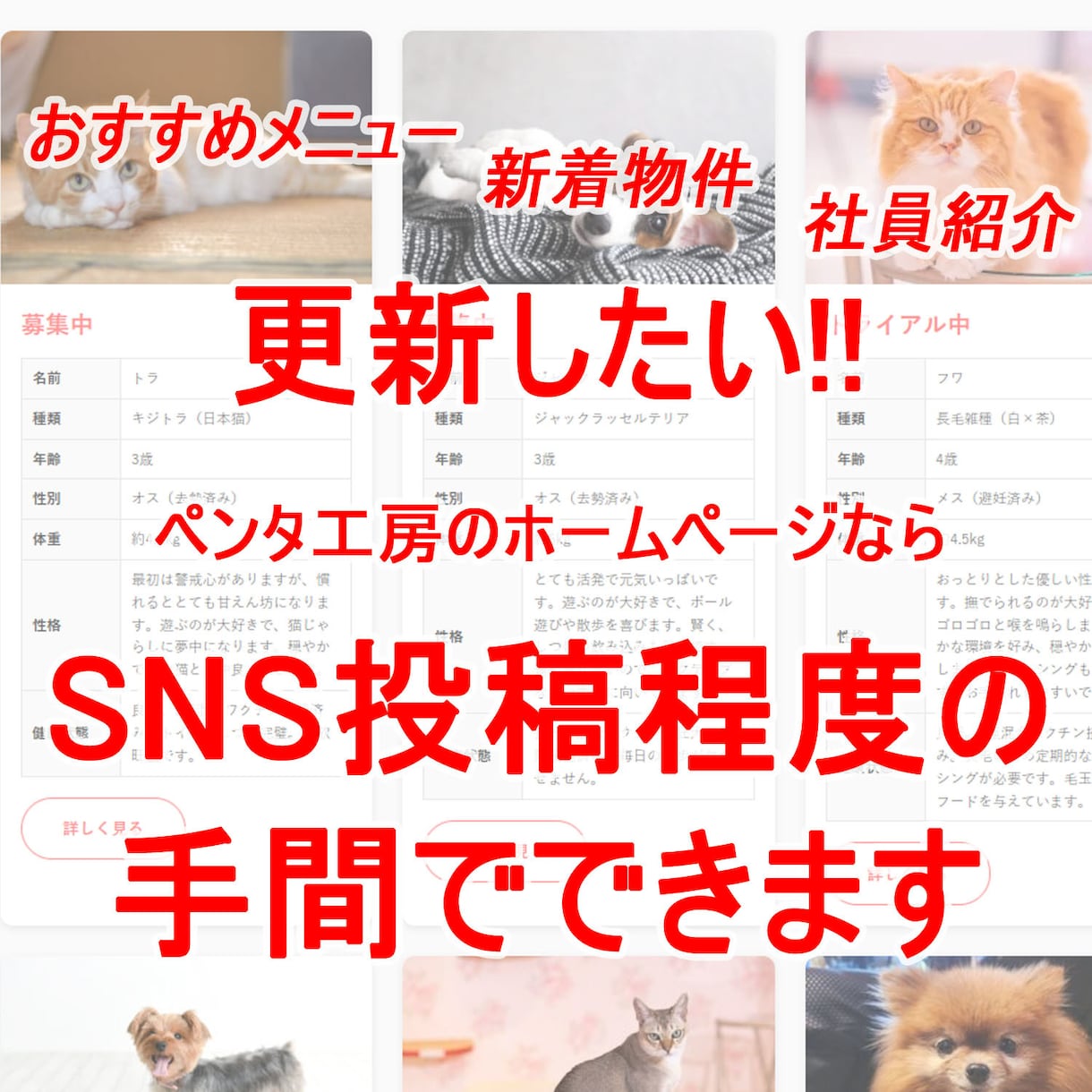 ご自分で更新できるホームページを制作します 業種別サンプルサイトでデザイン・機能を確認 その後に契約 イメージ1
