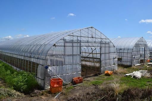 農地の贈与や相続で農地の処分お困りの方相談受けます 農地を使ってない、処分したい方、相談しませんか。 イメージ2