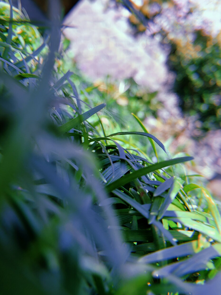Instagramの投稿をお手伝いします 投稿したいけど何を投稿したら良いの？そんなお悩み解決します！ イメージ4