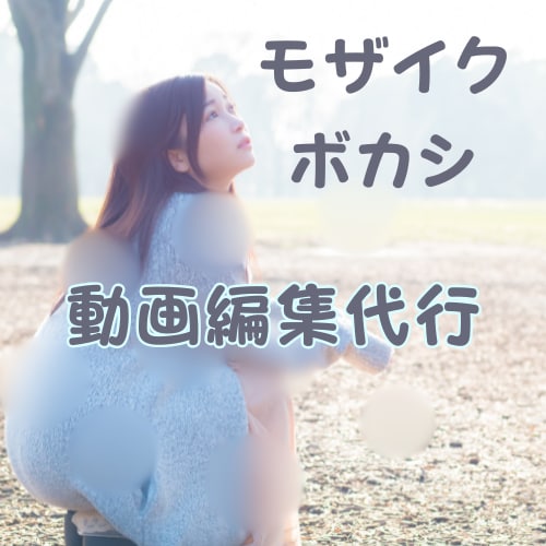ファンサイト等、同人動画等にモザイク編集いたします ファンサイト用等の編集加工を迅速丁寧に行います！ イメージ1