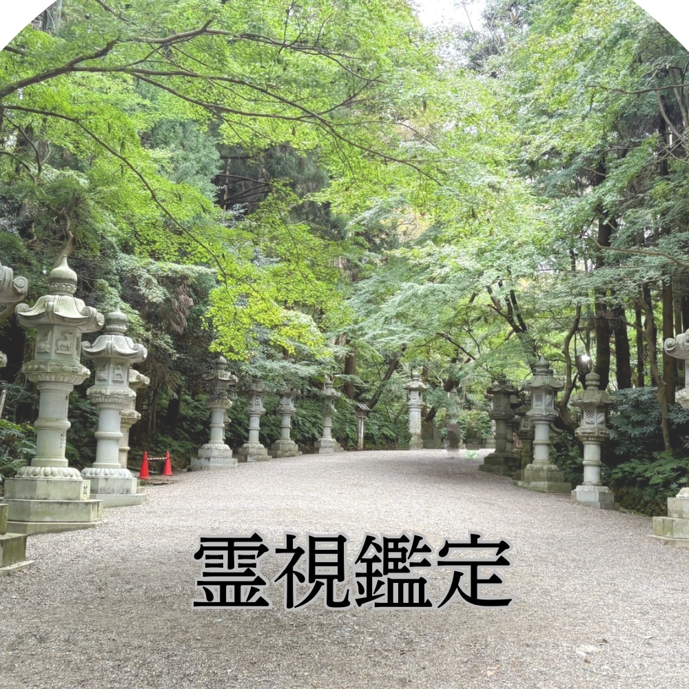 霊視鑑定します 霊感・霊視・霊聴で寄り添いながら紐解きお伝えします イメージ1