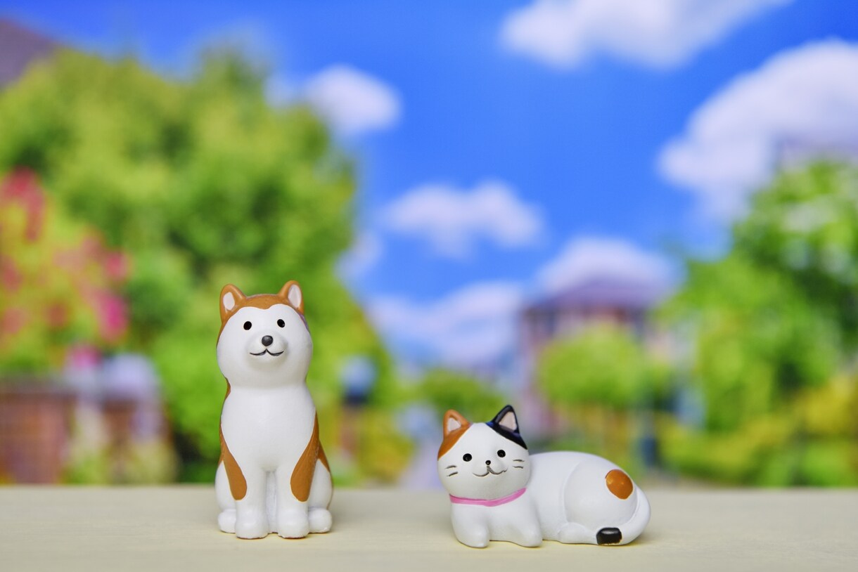 大切なペットちゃんと飼い主さんを癒します ☆３０分のリラックスヒーリング イメージ8