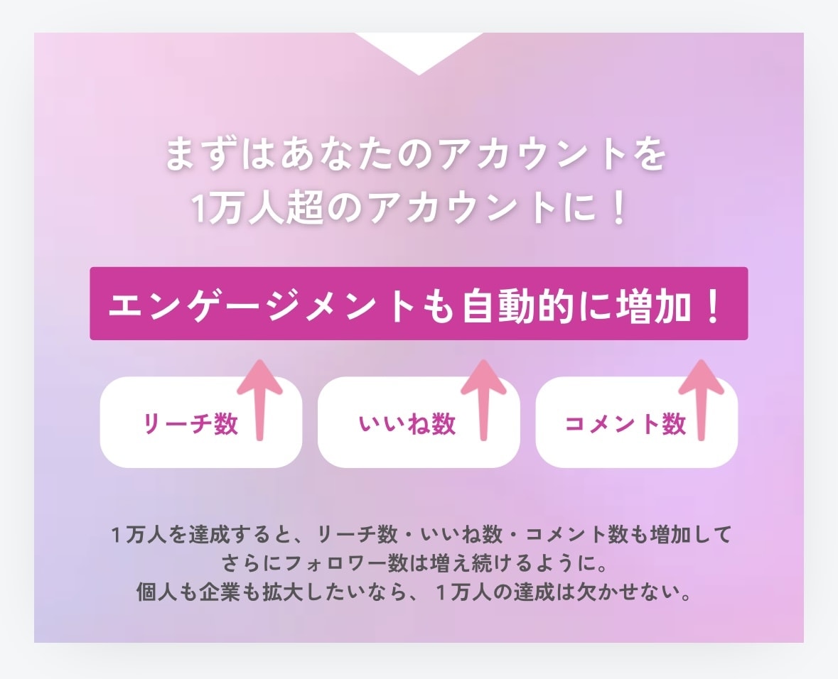 安心安全に日本人アクティブフォロワー増やします 「インスタで人気のサービスがココナラに進出！」10日間 イメージ3