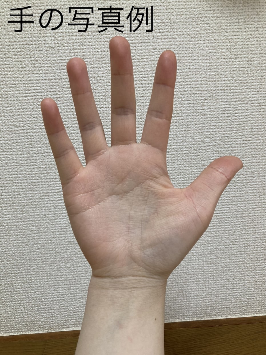 手相占いで人生のアドバイスをします 半年で60件以上実績のある占い師があなたの悩みを解決します！ イメージ3