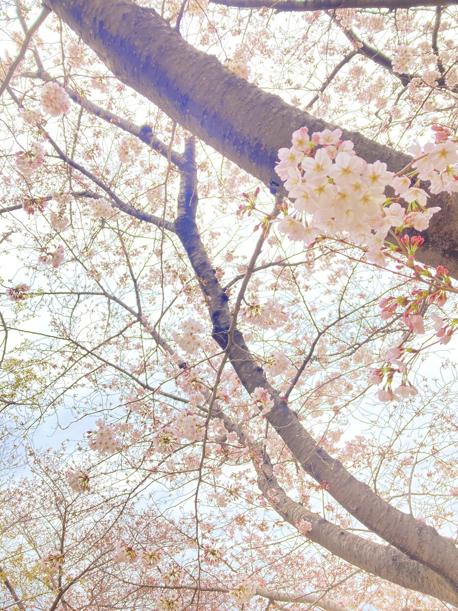 アナタの悩みを聞きます 〜私にアナタの心の内を聞かせて頂けませんか？〜 イメージ1