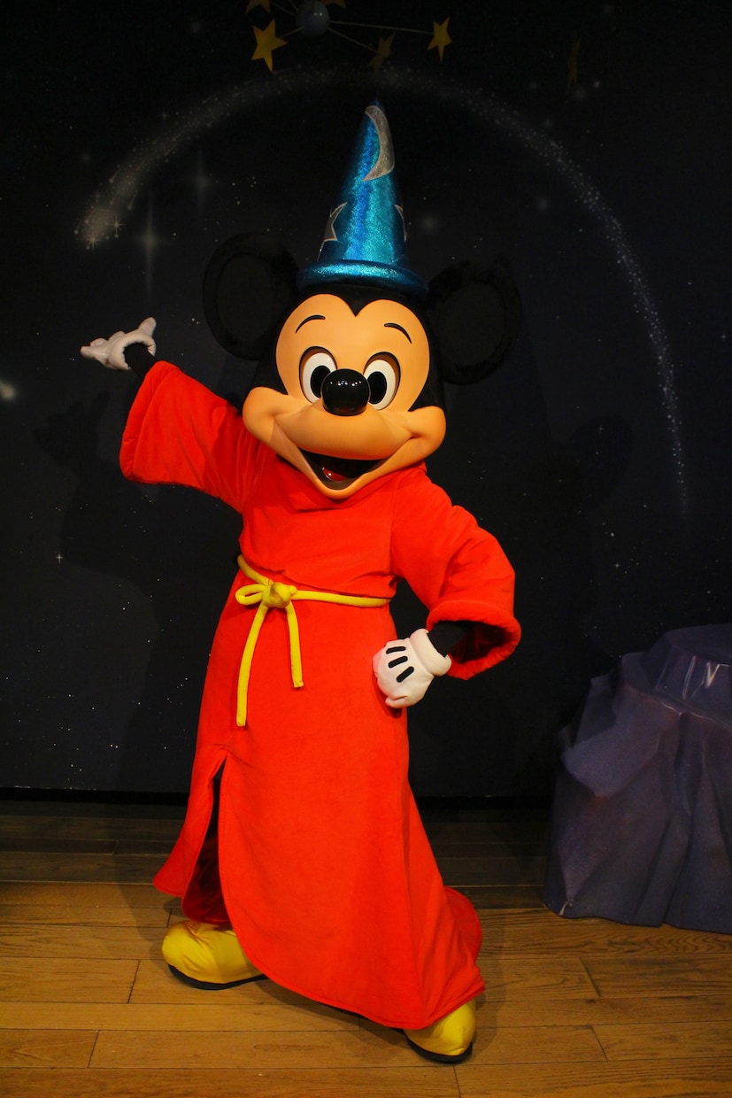 ディズニーの楽しめるプランを考えます ディズニーで遊ぶルートを安値で考えさせいただきます! イメージ2