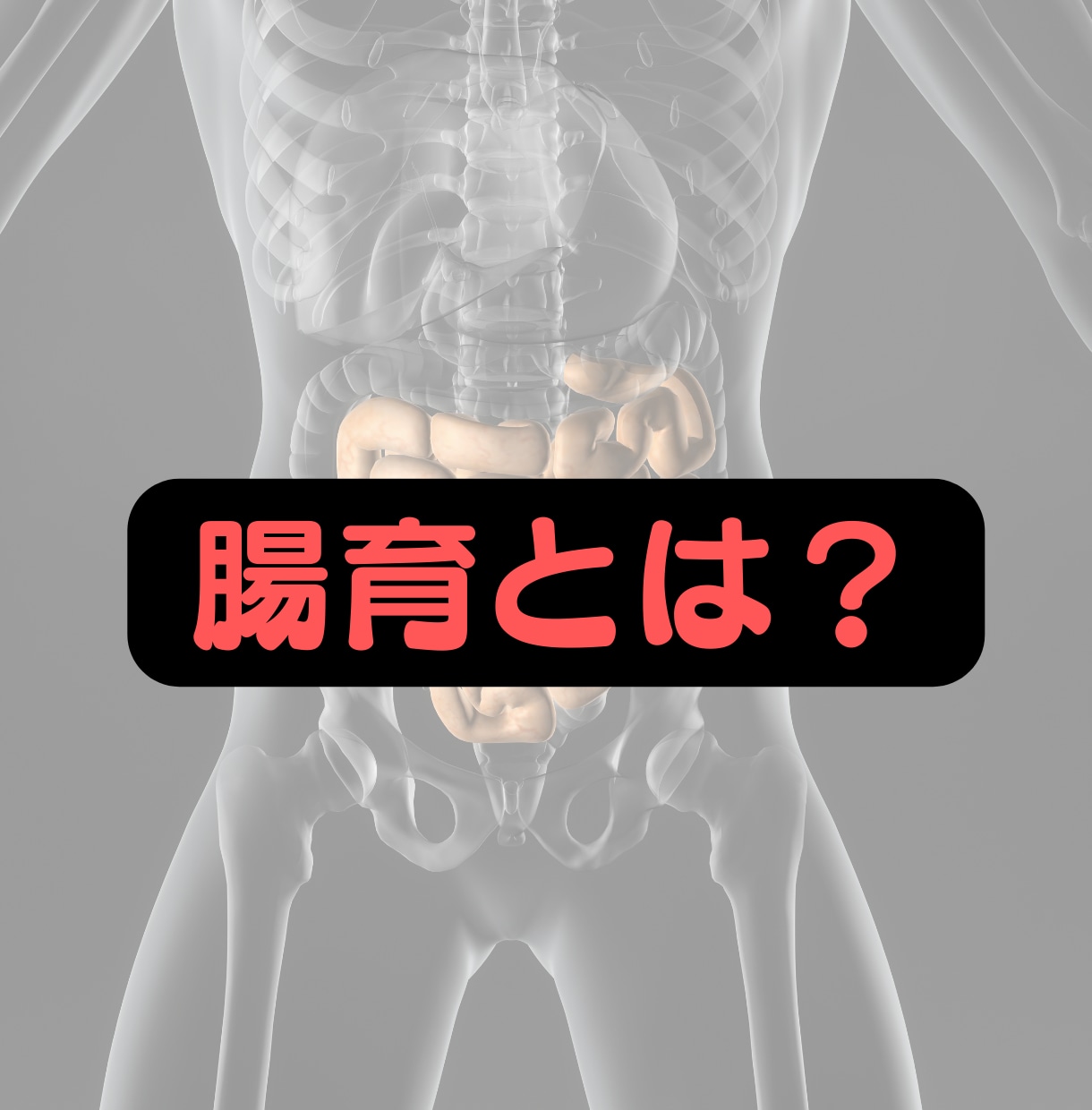 3週間で美しく"5kg"痩せる『腸育』を提案します 宿便を身体から排泄し、真の健康を自分自身で作りたい人限定！ イメージ2