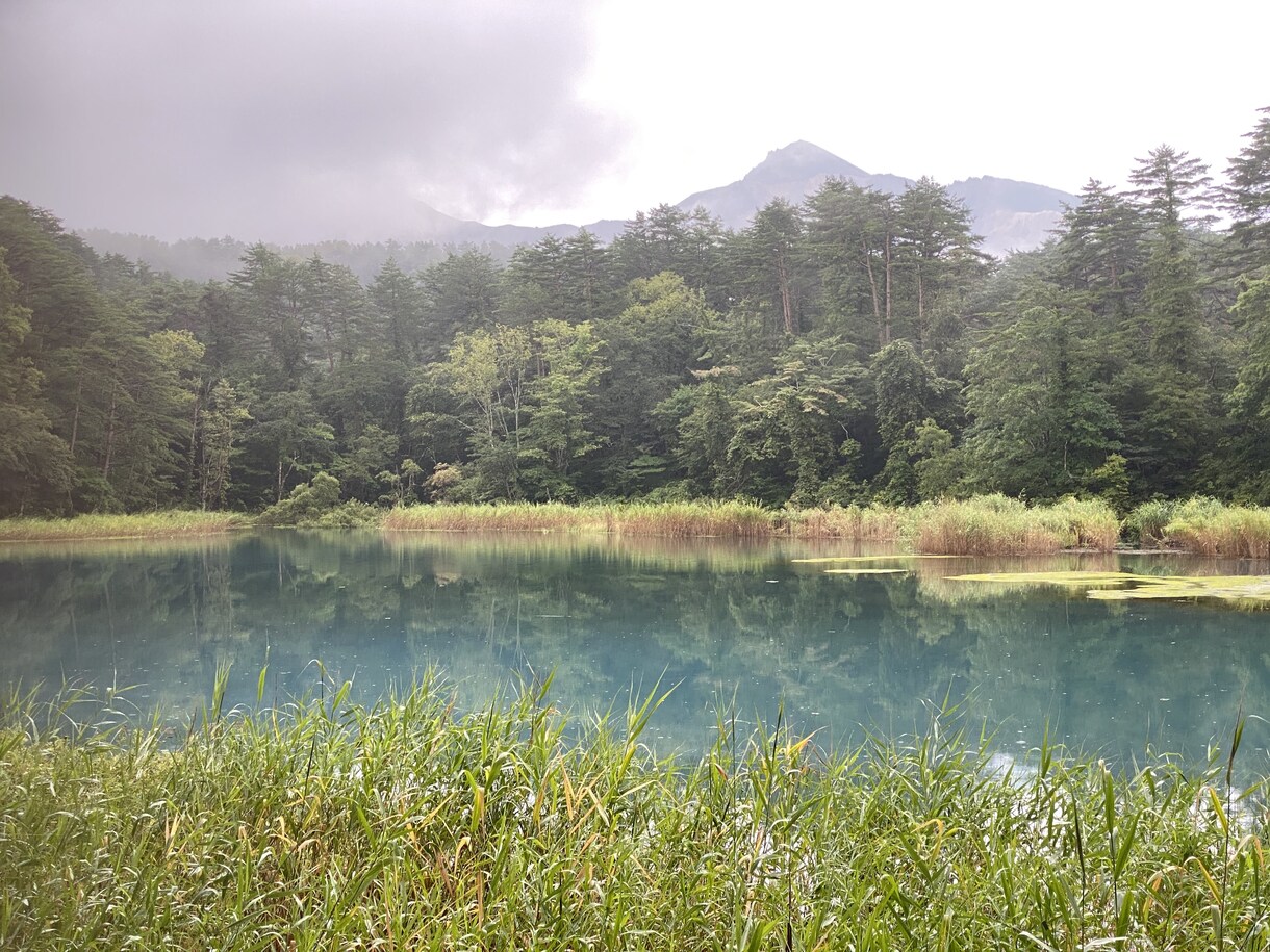 話を聞いて欲しい、背中を押して欲しい等お話聞きます カウンセリング資格あり、気楽になれるアドバイスも イメージ1
