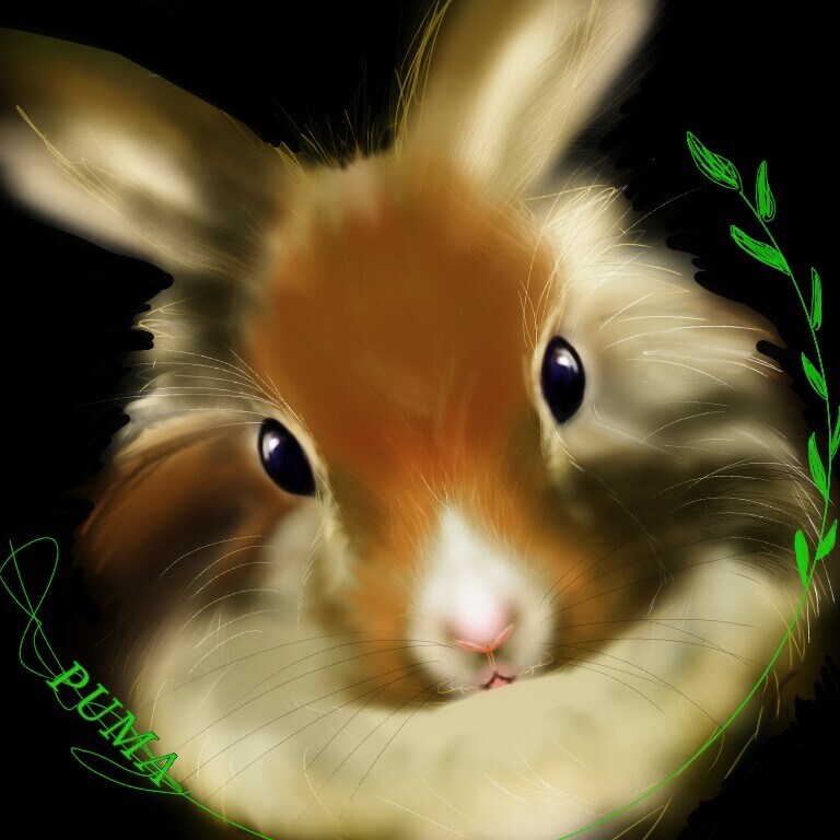 ペットの似顔絵を描きます 大好きなペットの似顔絵を描きます。 イメージ2