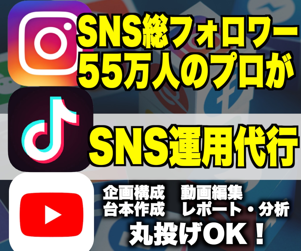 SNSのプロがあなたのSNSアカウントを運用します 採用単価を10万円に！フォロワー100万人がサポート！ イメージ1