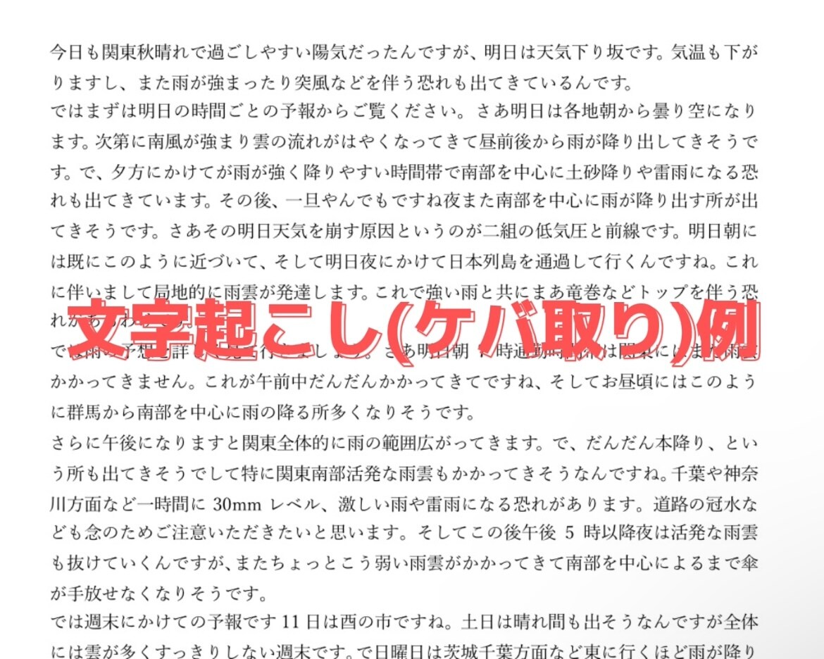 最短当日！音声・動画の文字起こしをします YouTube編集経験あり♪1分60円〜で業務効率化！ イメージ2