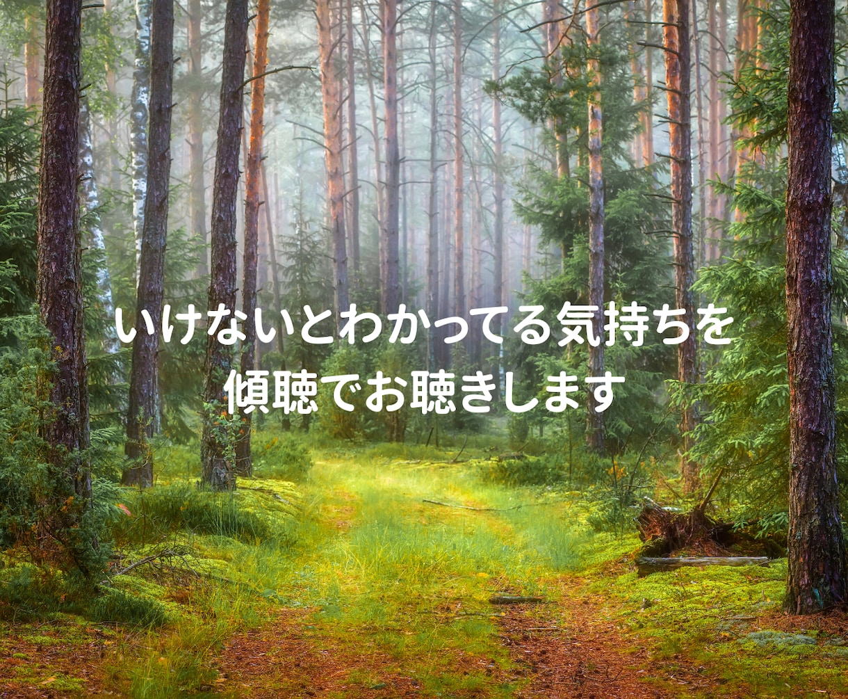 止めるのではなく、あなたの心を受け止めます わかってくれる人がいるだけで、人は少しずつ落ち着ける イメージ4