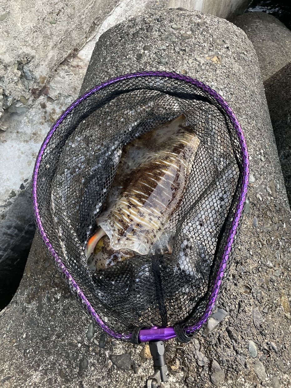 初心者向けのルアーフィッシング道具を選びます 1本のロッドで【なんでも釣りたい】欲張りさん必見です！ イメージ8