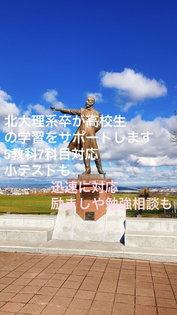 北大卒が3ヶ月間高校生の学習を指導します チャットで迅速かつ親身に毎日管理、指導致します。 イメージ1