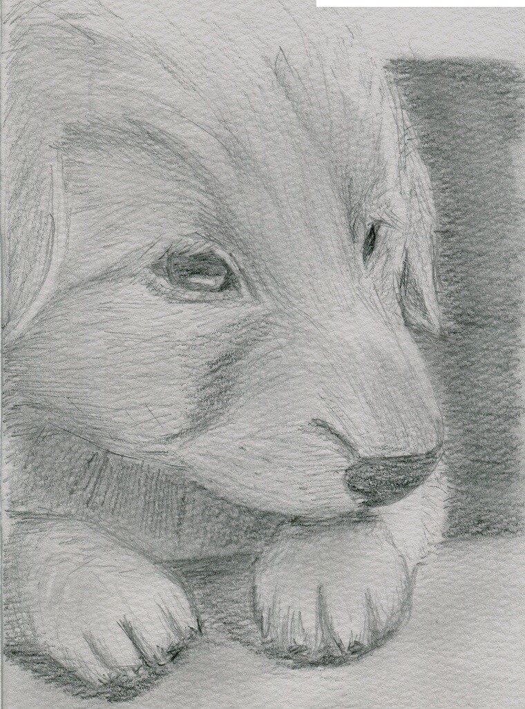 貴方の似顔絵描きます（ペン画） イメージ3