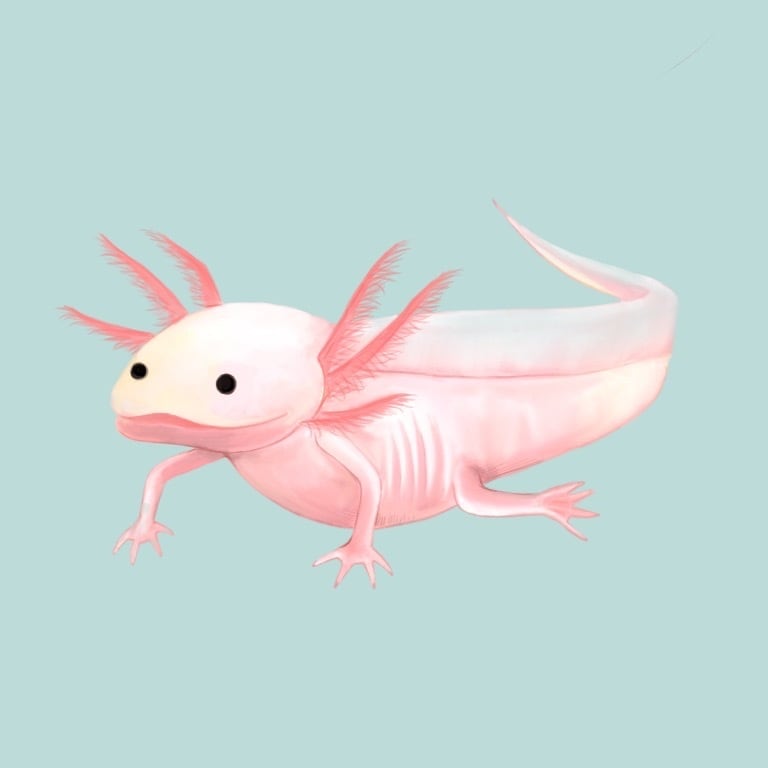 あなたの好きな生き物のイラストを描きます 虫、魚、動物、恐竜、画像や写真を元に描くリアルよりのイラスト イメージ2