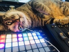 有名実績多数プロによる 音声編集、ノイズ除去します 動画音声などをクオリティをアップし聞き取りやすくしたい方へ イメージ3