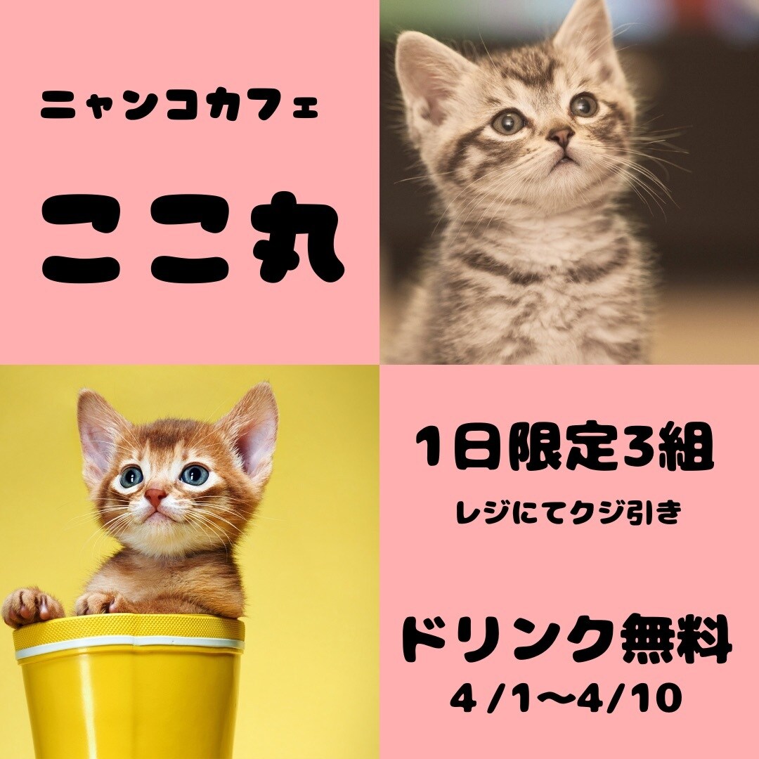 Canvaで簡単！チラシの作り方教えます 白紙から簡単に自分好みのチラシが作れます。 イメージ6