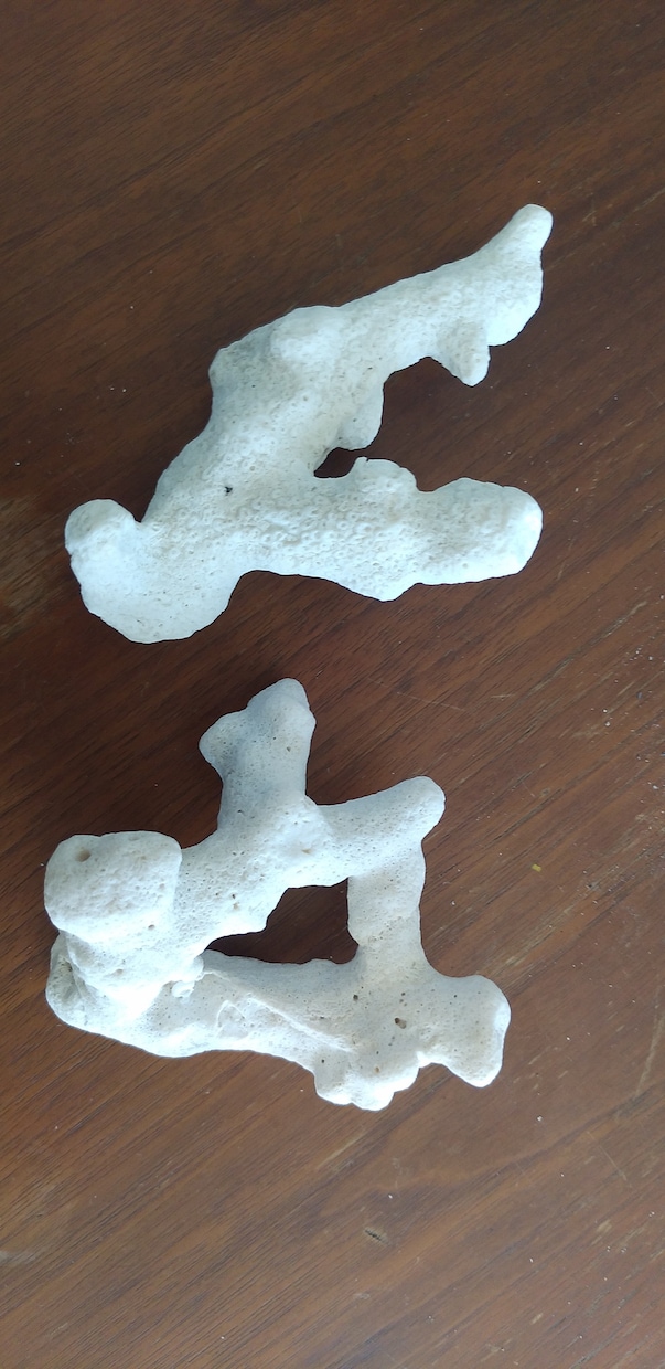 アクセサリー用に与論島のサンゴのかけらお譲りします 与論島ブルーの海で育ったサンゴのかけら(原型)お譲りします イメージ4