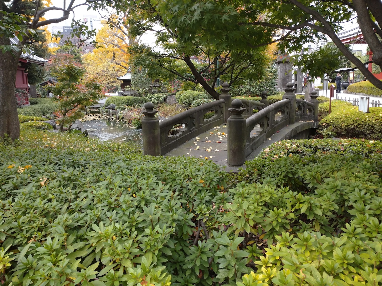 茶道を始めたい方、最初の一歩までの不安を解消します 流派に所属していないのでタブーなしで答えます イメージ1